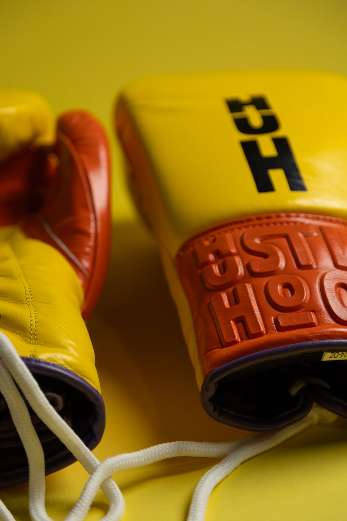 The Big Bird Hustler Training Glove - 14oz/16oz